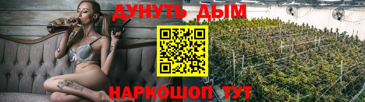 Канабис планчик  Каннабис сатива  Вход с VPN  Бийск  Шишки марихуана Amnesia 